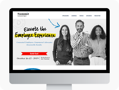 DS landing page design